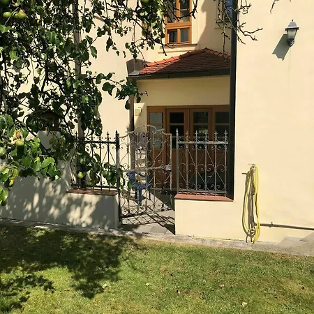The Garden Apartment *