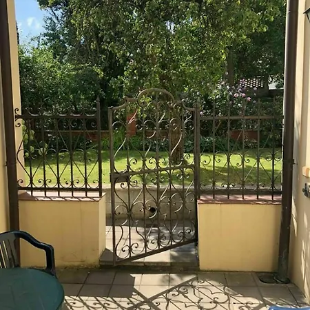 The Garden *