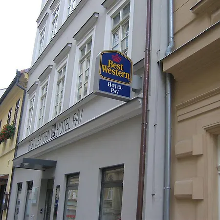 Hotel Pav