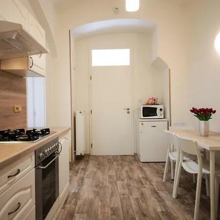 Family Duplex On Wenceslas Square Apartment Prague