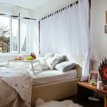 Apartment Golden Buddha *