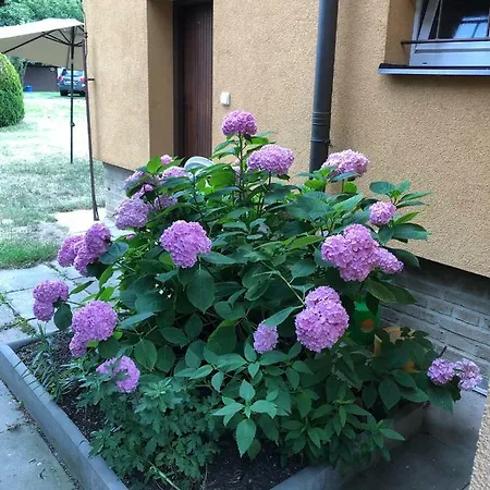 Guest house Trojska