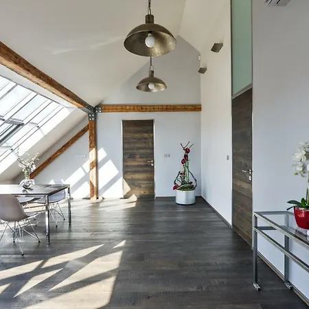 Designer Loft