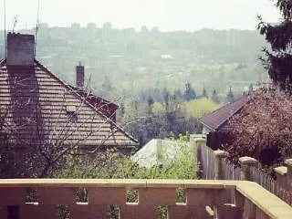 Nika Konukevi 3*