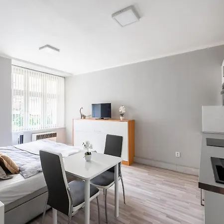 Apartment City Slezska *