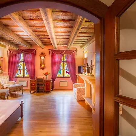 Hotel U Krale Karla Praga
