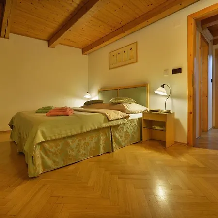 Apartment Old Town Tyn