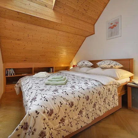 Apartment Old Town Tyn *