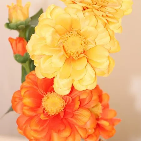 Flowers Apartmanhotel