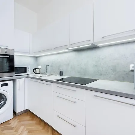 Roof Apartment *