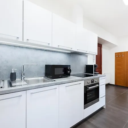 Roof Apartment *