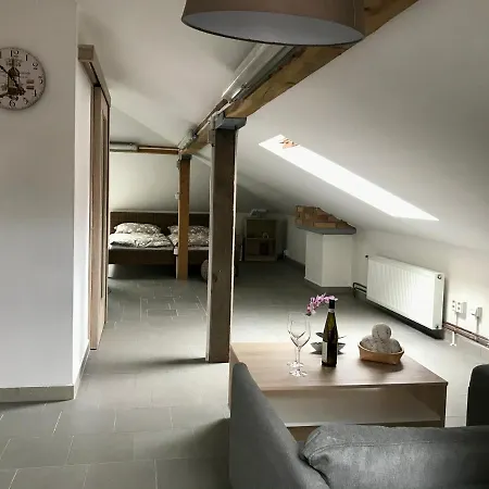 U Babicky Apartament