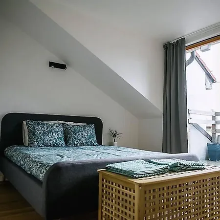 Huge 3-bed Duplex W Sauna, Jacuzzi, Terrace & Ac Apartment Prague