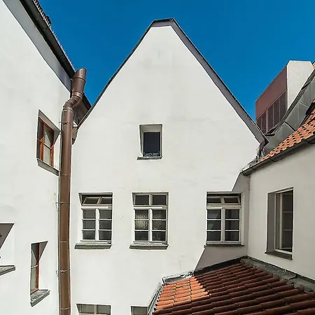 Apartment Newly Renovated 1-bed At Charles Bridge