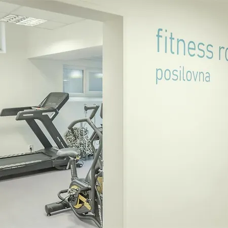 Wellness Studio! Finnish Sauna, Whirlpool, Gym & More! Prague