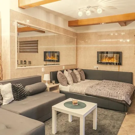 Apartment Wellness Studio! Finnish Sauna, Whirlpool, Gym & More!