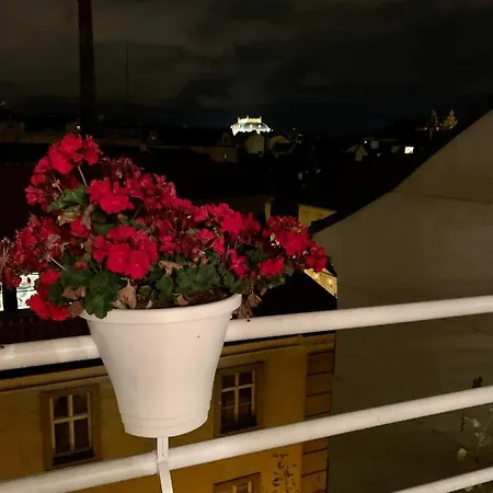 Anenska By Charles Bridge 1 *