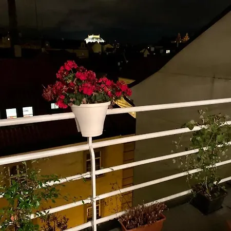 Anenska By Charles Bridge 1 Apartment Prague