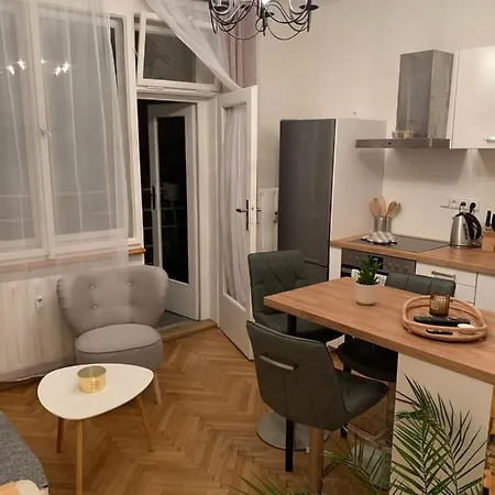 Apartment Anenska By Charles Bridge 1 Prague