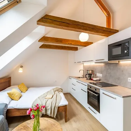 Aparthotel Masna 20 - Old Town Prague
