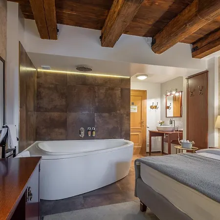 Pytloun Chateau Hotel Ctenice 4*