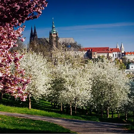Royal By Michal&friends Apartment Prague