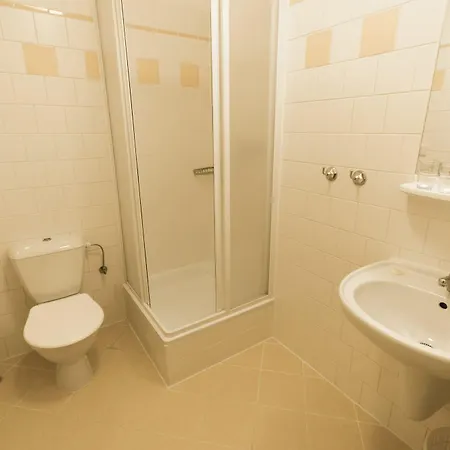 Brezina Prague