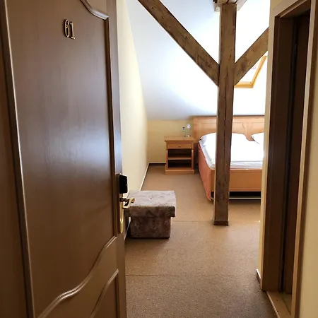 Hotel Brezina 3*