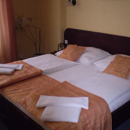 Hotel U Stare Pani - At The Old Lady Prag