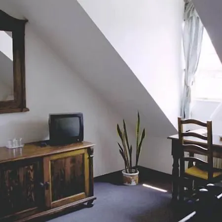 U Krize 3* Prague