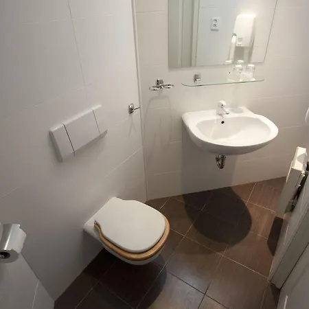 Hotel U Krize 3*