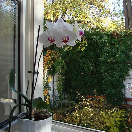 Boutique 16