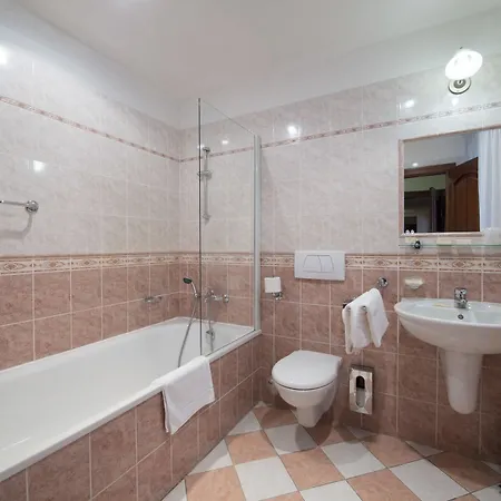 فندق Cerny Slon 4*