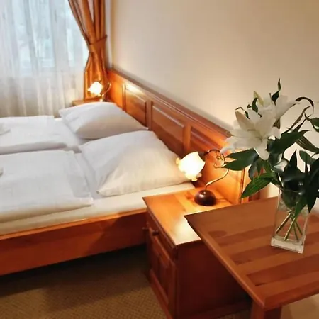 Hotel Liliova Old Town Praga