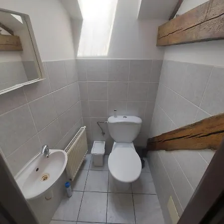 Apartment Zizkov B