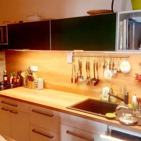 Sunny Family In Zizkov Apartment Prague