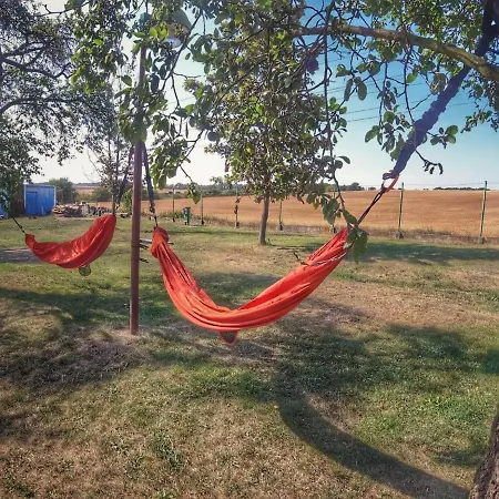 Prázdninový dům Prima By Interhome