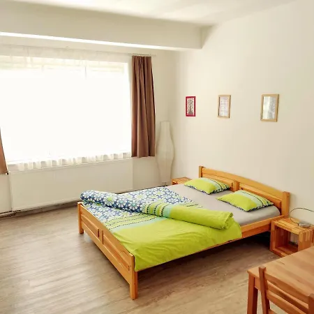 Zizkov Apartament *