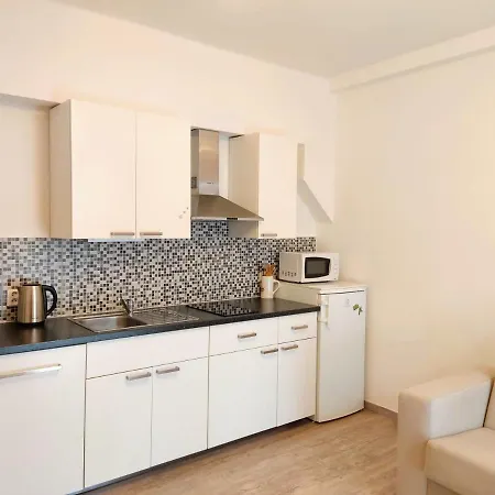 Zizkov Apartament