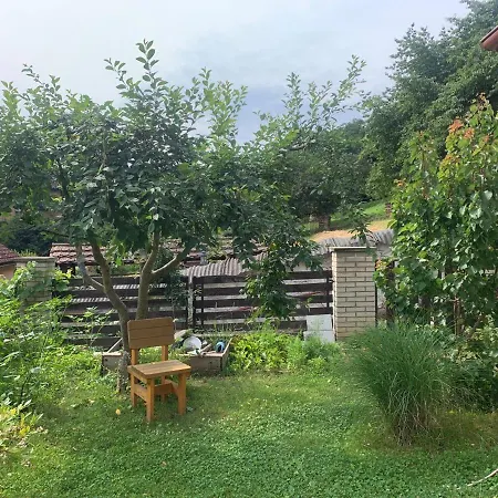 Cosy Family House With Garden, 12 Min From The Center Holiday home