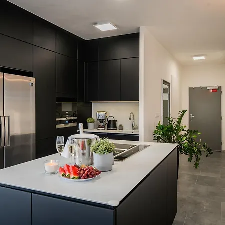 Penthouse Letnanske Zahrady *