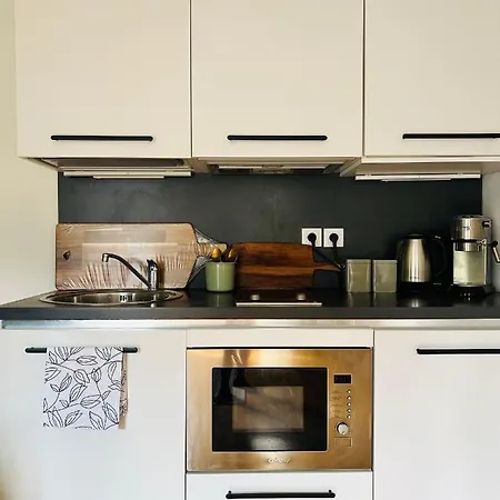 Black Pearl By Vysehrad Castle Apartment