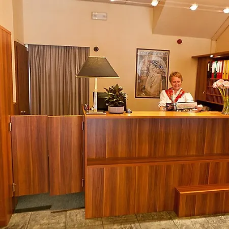 Central Hotel Prague 3* Prag