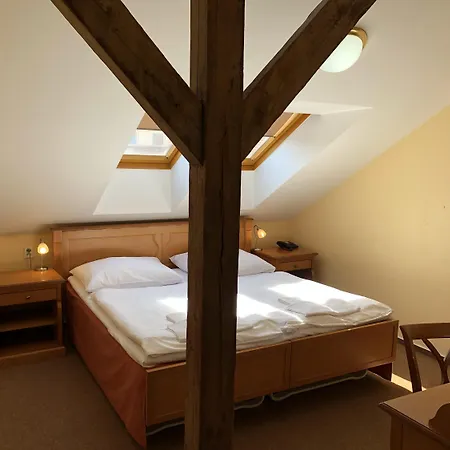 Hotel Brezina 3*