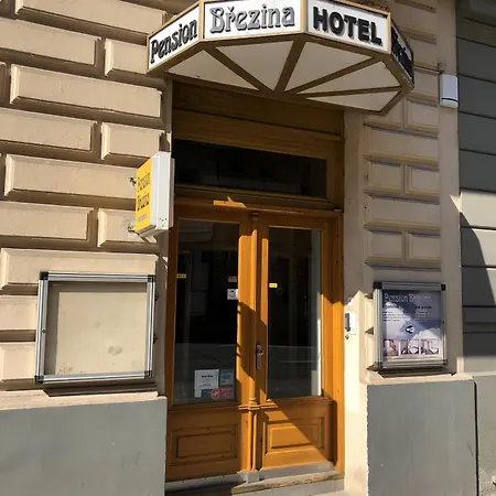 Hotel Brezina 3*