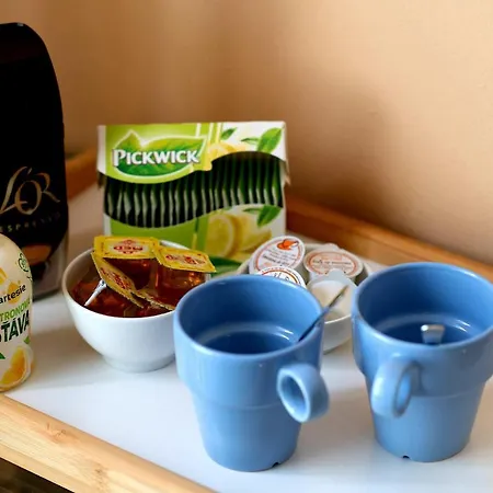 Cozy At Metro Station, Private Bathroom, 9minutes Oldtown, 15minutes Airport, Wifi Privatunterkunft Prag