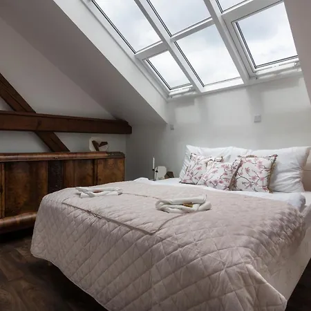 Apartment Golden Tree Loft In The Heart Of *