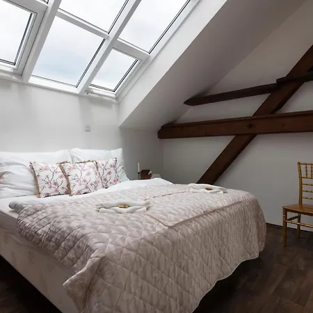 Golden Tree Loft In The Heart Of *