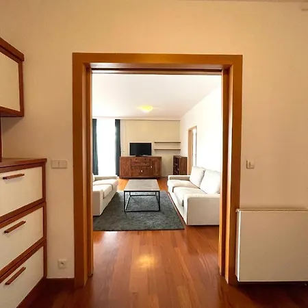 Hradebni - Terrace In The Old Town Apartment *