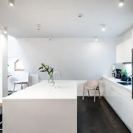 Lux Penthouse Near Wenceslas Square *